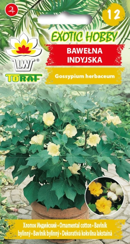 Toraf Bawełna Indyjska nasiona 2 sklep rajogrodnika